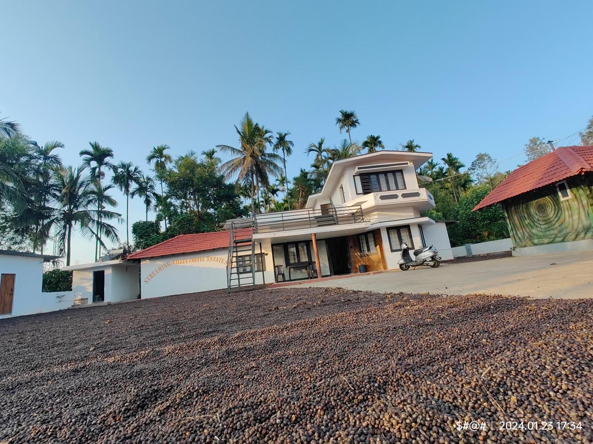 Streaming Valley Independent Coffee Estate Stay Madikeri Exterior foto